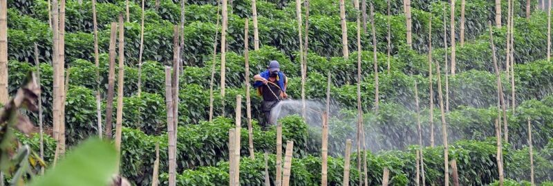 consulta-publica-sobre-intoxicacoes-por-agrotoxicos