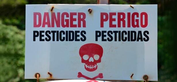 consultas-publicas-sobre-agrotoxicos-estarao-abertas-ate-o-dia-24-de-maio