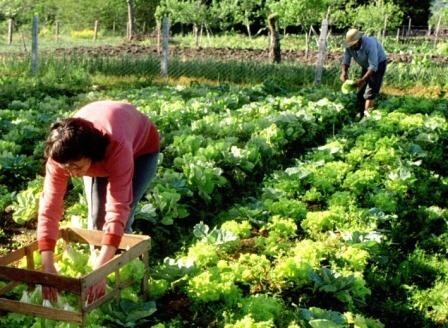 homenagem-aos-agricultores-pela-data-comemorativa