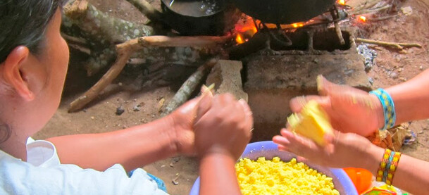 indigenas-participam-de-debate-sobre-alimentacao-saudavel