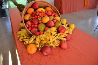 representacao-da-opasoms-no-brasil-adota-politica-de-alimentacao-saudavel-no-ambiente-de-trabalho