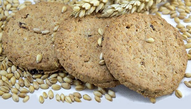 idec-pesquisa-quantidade-de-fibras-em-produtos-ultraprocessados