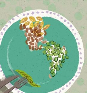 grandes-chefs-divulgam-receitas-com-leguminosas-em-novo-livro-da-fao