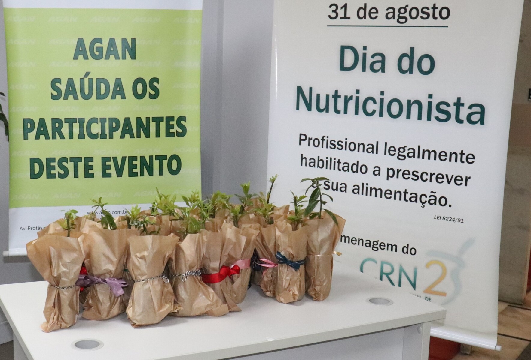 final materia mudas.jpg